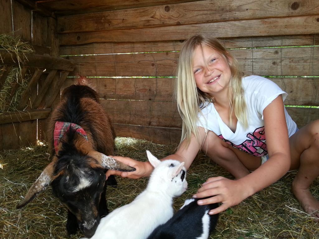 Steinakirchen Am Forst Familienbauernhof Strassbauerヴィラ エクステリア 写真